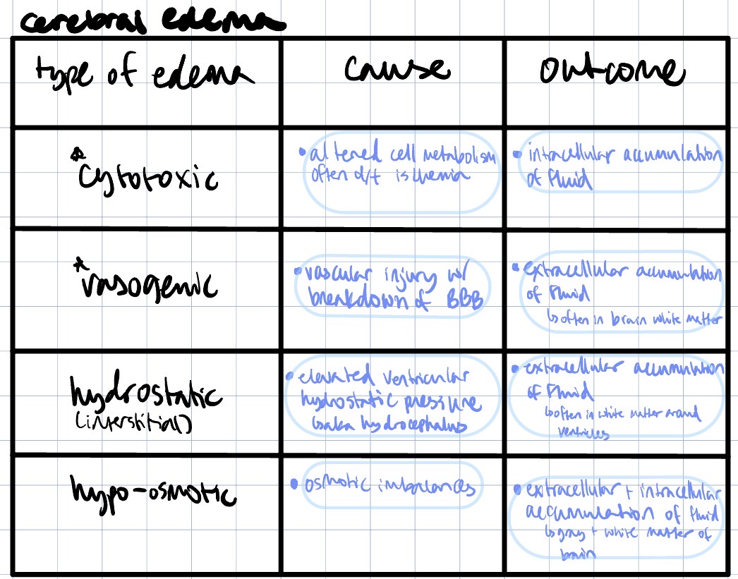 <ul><li><p>hydropic degen → cytotoxic edema</p></li><li><p>increased vascular permeability + inflammation → vasogenic edema</p></li></ul><p></p>