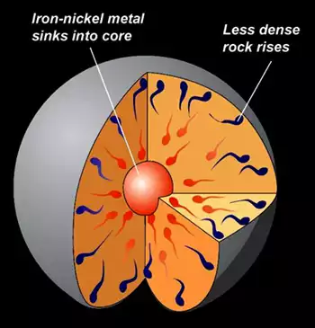 <p>The process by which a molten planetary body separates into compositionally distinct layers, causing denser materials to sink to the center and lighter materials to rise.</p>