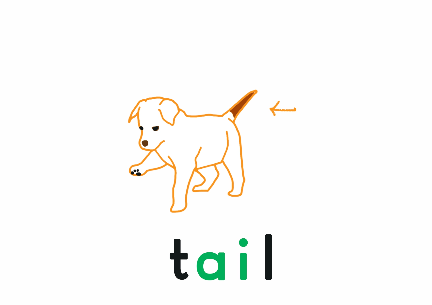 <p>tail</p>
