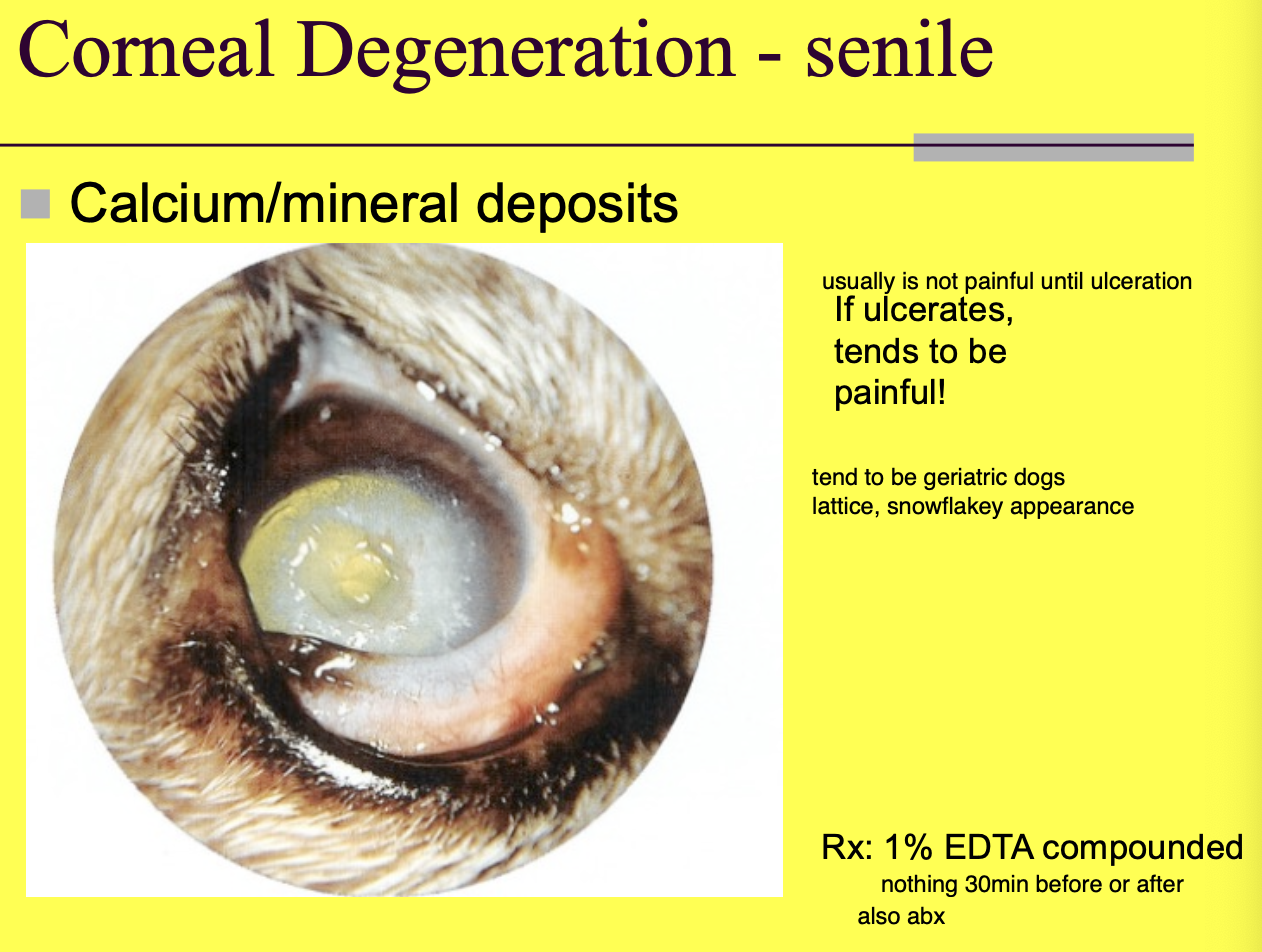 <p>1% EDTA compounded</p>