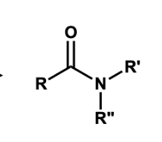 <p><span>condensation (amidation)</span></p>