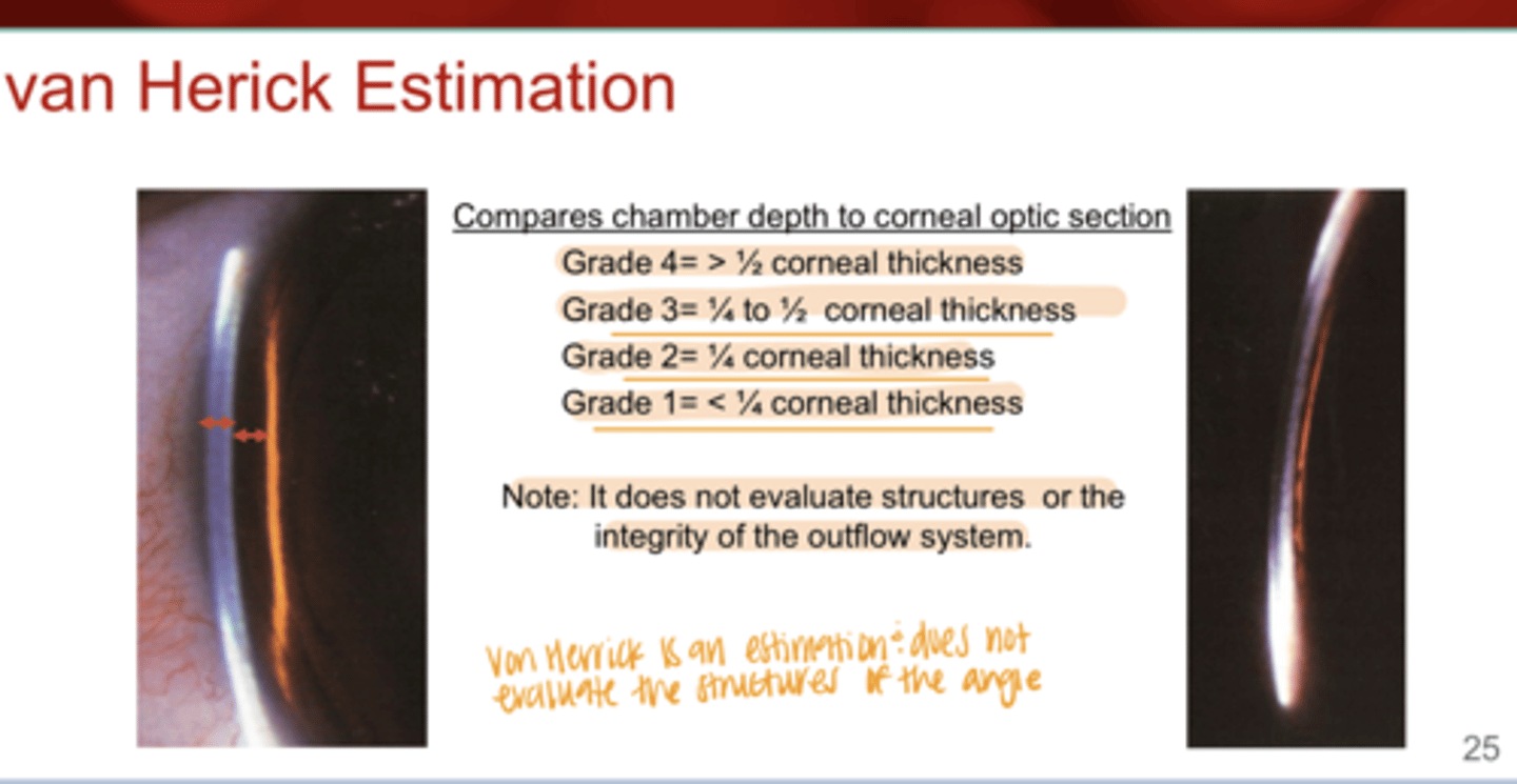 <p>What is a "Grade 2" van Herick angle?</p>