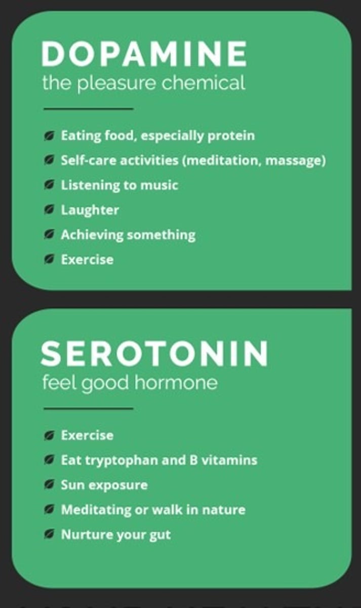 <p>Dopamine: Eating, self-care, listening to music, laughter, exercise, achievement of goals</p><p>Serotonin: Exercise, foods with tryptophan and vitamin B, sun exposure, meditation, nature walk, nurturing your gut</p><p>*Serotonin cannot be naturally produced so tryptophan is what is injected or found in foods and supplements as a serotonin equivalent because it is an amino acid that forms serotonin.</p>