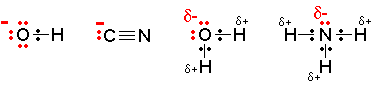 <p><span style="font-size: medium;">Common nucleophiles are hydroxide ions, cyanide ions, water and ammonia.</span></p>