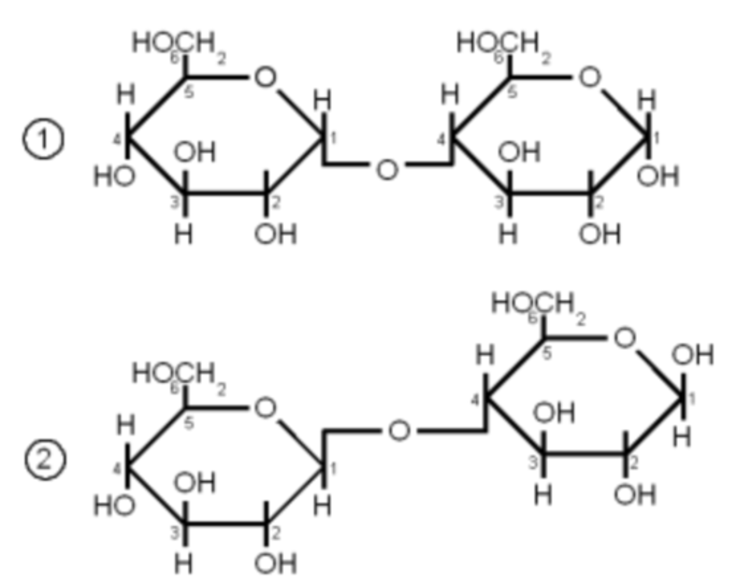 <p>a-1,4: glucose-glucose vs B-1,4</p>