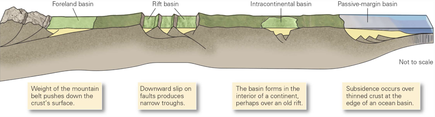 <p>depression, created as a consequence of subsidence, that fills with sediment formed by rift basins, passive margins basins, intracontinental basins, and foreland basins</p>