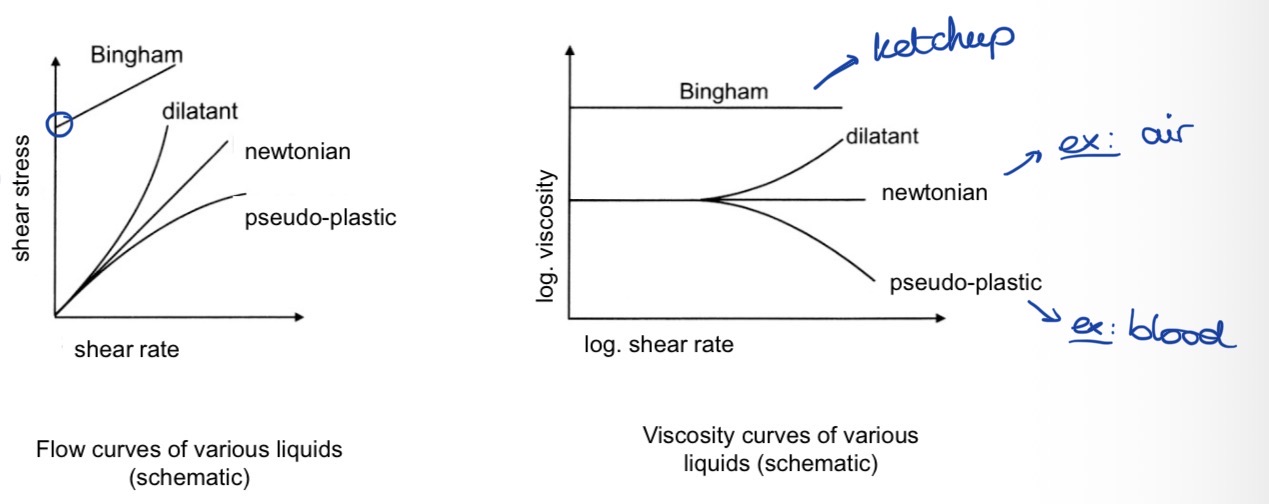 <p>Shear rate = how fast the layers of a liquid slide past each other</p><p></p><p><strong>4 types of fluids</strong></p><ul><li><p><strong>Bingham</strong></p></li></ul><p>→ needs a <strong>minimum shear stress</strong> to start flowing<em> (below it, it behaves like a solid, no flow, once it’s reached, it flows like a Newtonian fluid)</em></p><p>→ once the stress is reached, the <strong>viscosity</strong> remains <strong>constant</strong></p><p><em>→ e.g. </em><strong><em>ketchup</em></strong></p><p></p><ul><li><p><strong>dilatant fluid</strong></p></li></ul><p>→ the required shear stress <strong>increases more rapidly</strong> than the shear rate</p><p>→ viscosity <strong>first constant</strong> &<strong> then increases</strong> for higher shear rates</p><p><em>→ e.g. </em><strong><em>starch corn + water</em></strong></p><p><em>Note: the ease to penetrate the liquid depends on the speed with which the force is applied)</em></p><p></p><ul><li><p><strong>Newtonian fluid</strong></p></li></ul><p>→ shear stress & shear rate are <strong>proportional</strong></p><p>→ viscosity remains <strong>constant</strong></p><p><em>→ e.g. </em><strong><em>air</em></strong></p><p></p><ul><li><p><strong>pseudo-plastic fluid</strong></p></li></ul><p>→ shear stress <strong>increases more slowly </strong>than the shear rate</p><p>→ viscosity <strong>first constant </strong>&<strong> then decreases</strong> for higher shear rates</p><p><em>→ e.g. </em><strong><em>blood</em></strong></p><p></p>