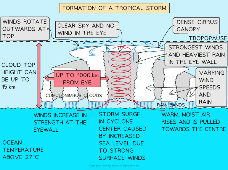 <ul><li><p>The eye: Calm clear centre, descending air</p></li><li><p>Eyewall: Strongest winds and heaviest rain, most intense convection</p></li><li><p>Rainbands: Bands of thunderstorms spiralling outwards</p></li></ul><p></p>