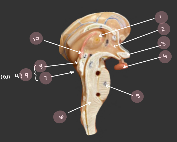 <p>#7, 8, and 9: Names and functions</p>