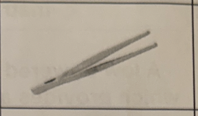 <p>Holds or grasps small objects</p>