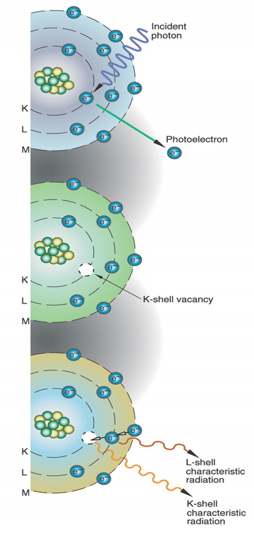 <p>what process is this?</p>