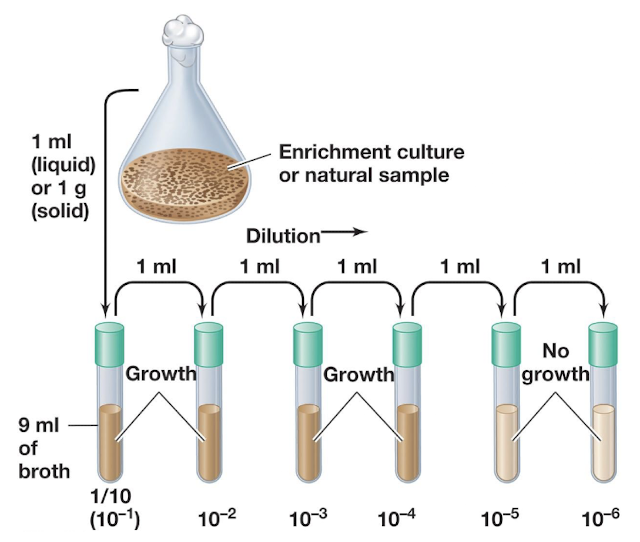 <ul><li><p>A statistical method estimating microbial numbers via serial dilution in liquid media.</p></li><li><p><strong>Key idea:</strong> Last tube showing growth likely originated from ≤10 cells</p></li></ul><p></p>