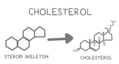 <p>steroid</p>