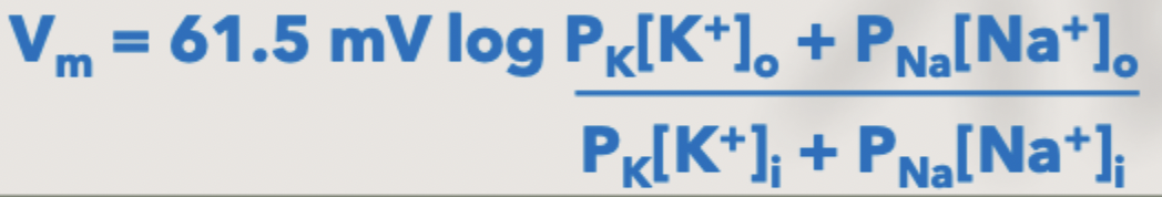 <p>Goldman Equation</p>