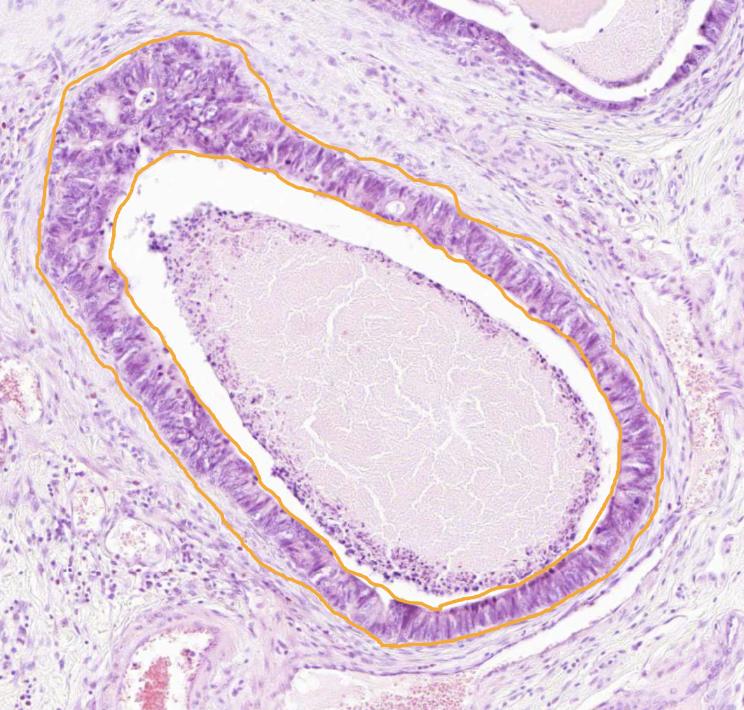 <img src="https://assets.knowt.com/user-attachments/f9468e9b-9d01-4055-948e-4d3be25ab3bb.png" data-width="100%" data-align="center" alt="knowt flashcard image"><p></p>