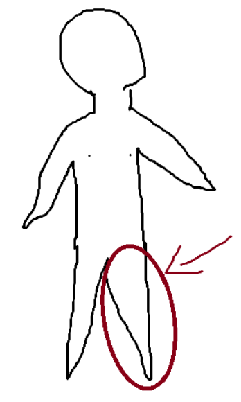 <p>Lower anterior region of the extremity</p>