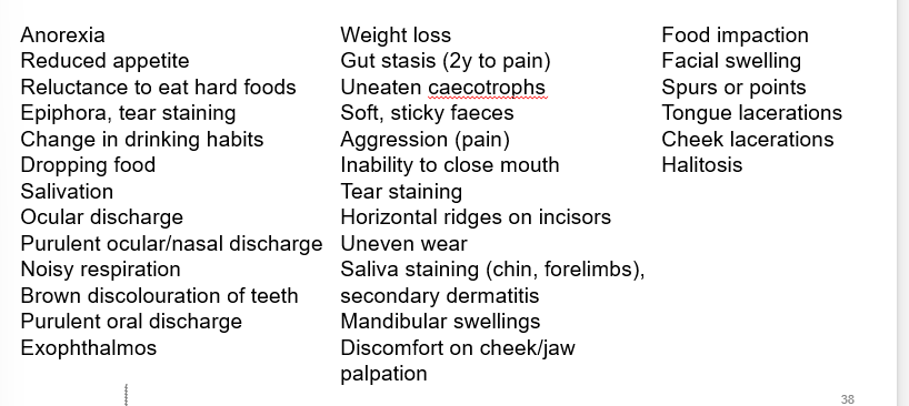 <ol><li><p>anorexia and accompanied weight loss</p></li><li><p>reduced appetite</p></li><li><p><strong>saliva staining</strong></p></li><li><p><strong>soft, sticky faeces = uneaten caecotrophs!!</strong></p></li><li><p><strong>mandibular swellings</strong></p></li><li><p><strong>halitosis</strong></p></li><li><p><strong>ocular symptoms</strong></p></li><li><p>aggression - behaviour change</p></li><li><p>gut stasis (secondary to the dental issue)</p></li><li><p>oral wounds</p></li></ol><p></p>