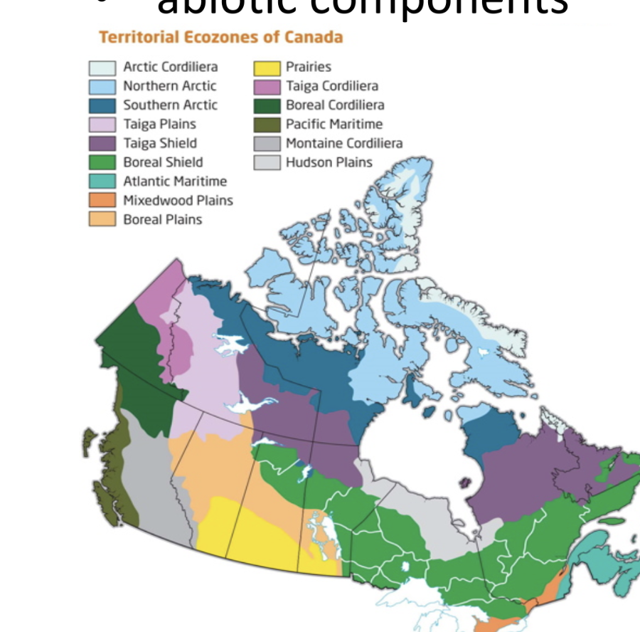 <p>climate zones focusing on the ecology of a region</p>