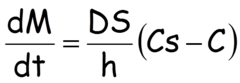 <p>equation that describes the rate of dissolution; important for internal use of powders</p>