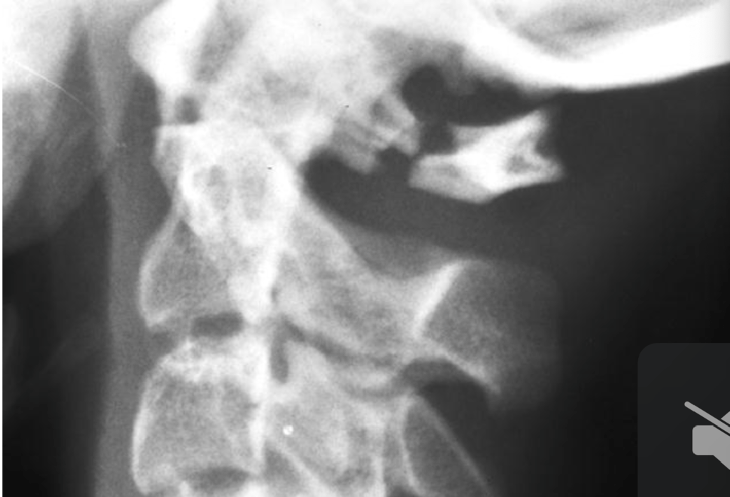 <p>What are the findings?</p>