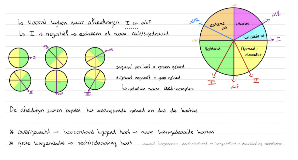 <p>geeft richting van elektrische activiteit tijdens de activtie van ventriculaire hartspier bekeken in ventricale vlak</p>