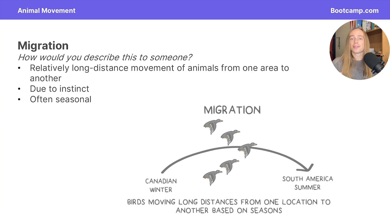 <p>relativley long distance movement of animals from area to another </p>