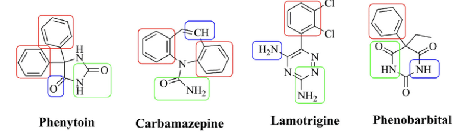 <ul><li><p>red rectangle: hydrophobic domain</p></li><li><p>green rectangle: hydrogen bond acceptor/donor</p></li><li><p>blue rectangle: electron donor moiety</p></li></ul><p></p>
