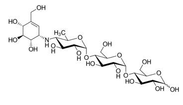 <ul><li><p>Isolated from a bacterium</p></li><li><p>Ki = 62 μM against MGAM – one of the key gut glucosidases</p></li><li><p>This is the bit that binds to the enzyme’s active site</p></li><li><p>Almost certainly not selective, but bioavailability is 2%</p></li><li><p>Taken with food</p></li><li><p>Not recommended by NICE</p></li></ul><p></p>