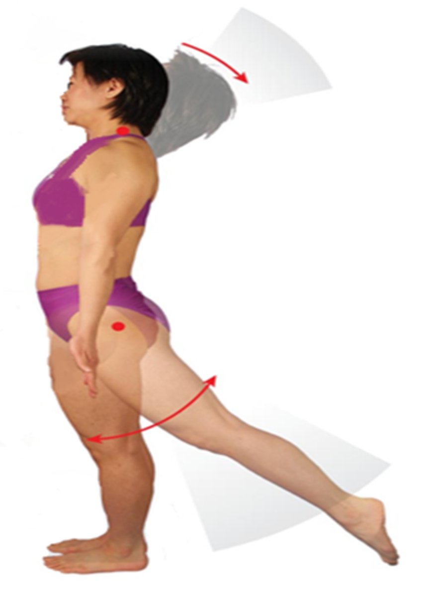 <p>Bending a joint back beyond its normal range of motion.</p><p>Example: Individuals who have loose ligaments that allow a greater range of motion can be capable of hyperextending the joints.</p>