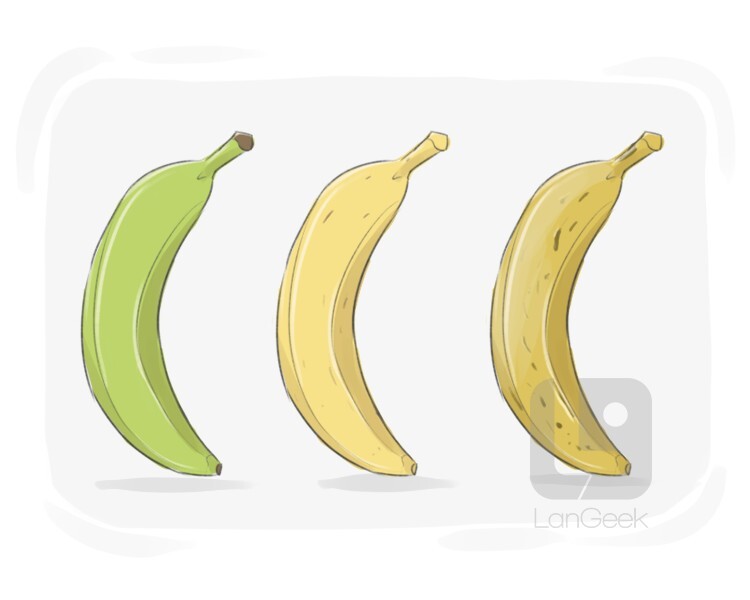 <p>vary (v): biến đổi</p>
