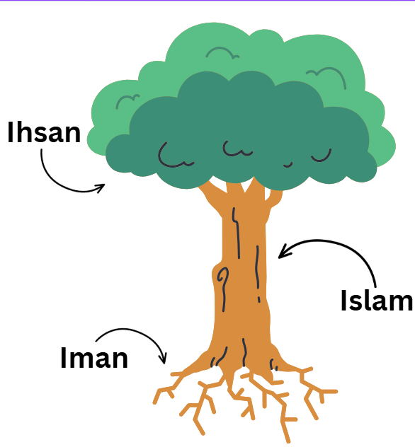<ul><li><p><strong>Roots</strong>: Representing <strong>Iman</strong> (faith), which is the foundation of belief in Allah and His teachings.</p></li><li><p><strong>Trunk</strong>: Symbolizing <strong>Islam</strong>, the outward practices and acts of worship that one adheres to.</p></li><li><p><strong>Branches and Leaves</strong>: Reflecting <strong>Ihsan</strong>, which signifies excellence in worship and behavior, and emphasizes worshipping Allah as though one can see Him.</p></li></ul><p></p>