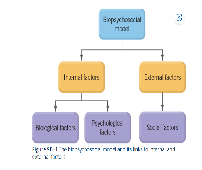<p>-<strong>An individual’s mental wellbeing is influenced by the interaction of <u>internal </u>and <u>external</u> factors and this helps account for why we shift back and forth along the mental wellbeing continuum at different points in time.</strong></p><p></p><p><span>-</span><span style="font-family: "Open Sans";">There are many factors that affect where someone generally sits on the continuum, and also where they sit at any given point in time.</span></p><p></p><p><span>-</span><span style="font-family: "Open Sans";">This complex interaction of multiple factors helps account for individual differences in mental wellbeing, as well as the onset or experience of mental health problems and disorders.</span></p><p><span style="font-family: "Wingdings 2";">-</span><span style="font-family: "Open Sans";">For example, depression could be explained by the combined effects of genes and brain chemistry (biological), negative ways of thinking and prior learning experiences (psychological) and the death of a loved one (social).</span></p>