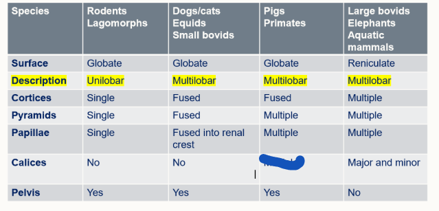 <p>Fill in</p>