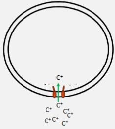 <p>This is showing</p>