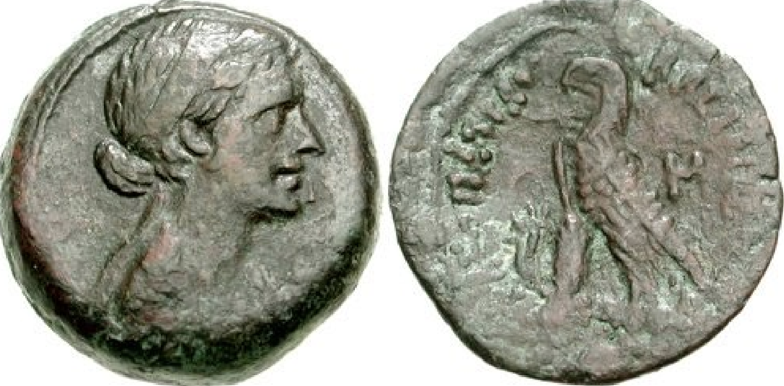 <p>Bust of Cleopatra VII; Eagle standing left on thunderbolt: reverse (51–30 BC)</p>