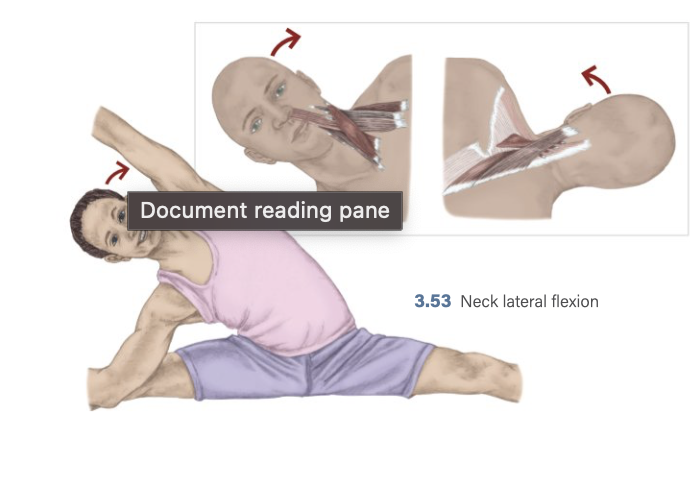 <p>lateral neck flexion</p>