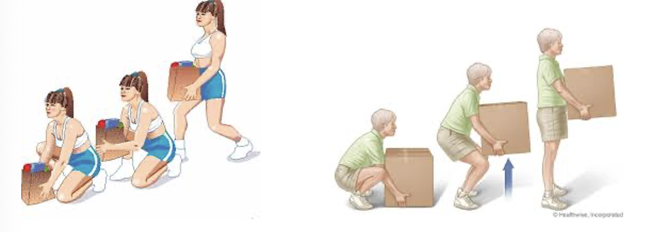 <p>Partial squat is used to lift an object between knee and waist height.<span>&nbsp; </span>Deep squat is used to lift objects lower than knee height.<span>&nbsp; </span>Kneeling or half kneeling can be used to lift awkward or low to the ground objects, to lift them to a safe lifting height.<span>&nbsp; </span>The lumbar spine should be kept in a neutral position with a normal lumbar lordosis.</p>