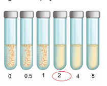 <p>la mayoría de bacterias de importancia médica pueden crecer en un medio líquido y sólido (agar-agar) con las condiciones de crecimiento adecuadas (medio, temperatura, atmosfera). </p><p><strong>Hay cultivos selectivos </strong>(aquellos que contienen alguna sustancia que inhibe el crecimiento de algún tipo de microorganismo) </p><p><strong>y cultivos diferenciales</strong> (crece más de un tipo de microorganismo).</p><ul><li><p>Antibiograma: </p><ul><li><p>nos prueba la susceptibilidad de una cepa aislada bacteriana a diferentes antibióticos.</p></li></ul></li><li><p>Concentración inhibitoria mínima (MIC): </p><ul><li><p>es uno de los valores que usamos en el antibiograma que nos determina cuál es la mínima concentración de antibiótico en la cual ya no crece el microorganismo. Nos ayuda a determinar si la bacteria es sensible o resistente.</p></li></ul></li></ul><p></p>