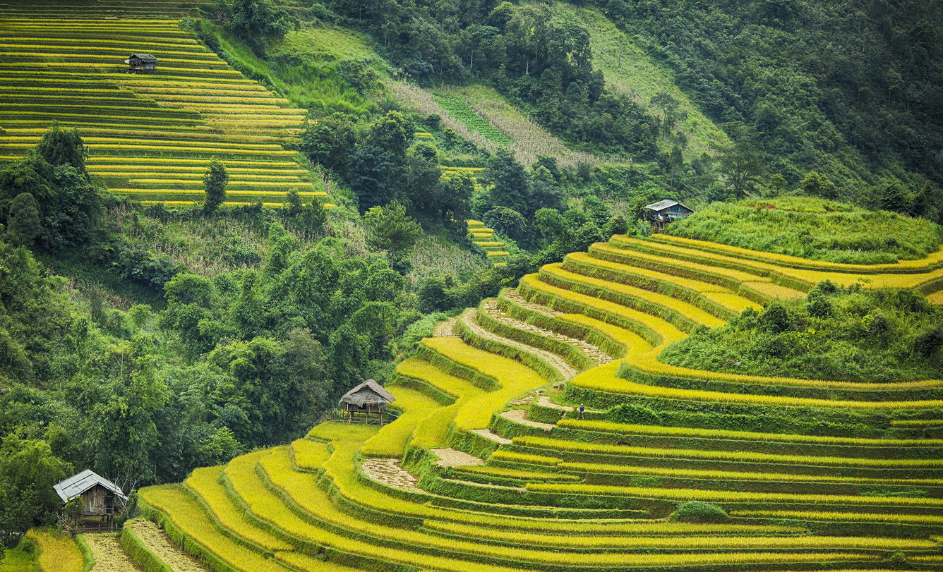 <p>ruộng bậc thang </p>