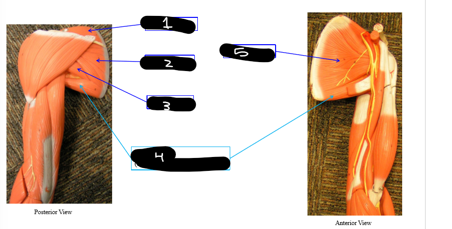 <p>5</p>
