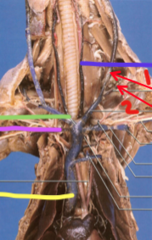 <p>what is the yellow line pointing to?</p>