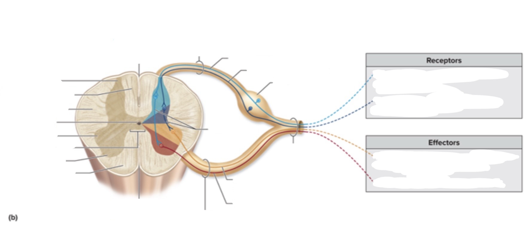 <p><a target="_blank" rel="noopener noreferrer nofollow" class="link" href="https://assets.knowt.com/user-attachments/9db5d6c9-4f0c-4fc4-a0b3-1b8f2f5bef4c.jpg" data-prevent-progress="true">https://assets.knowt.com/user-attachments/9db5d6c9-4f0c-4fc4-a0b3-1b8f2f5bef4c.jpg</a></p>