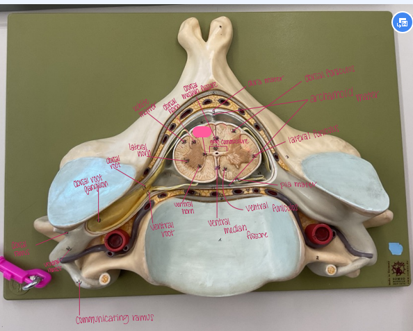 <p>What is being shown? </p>