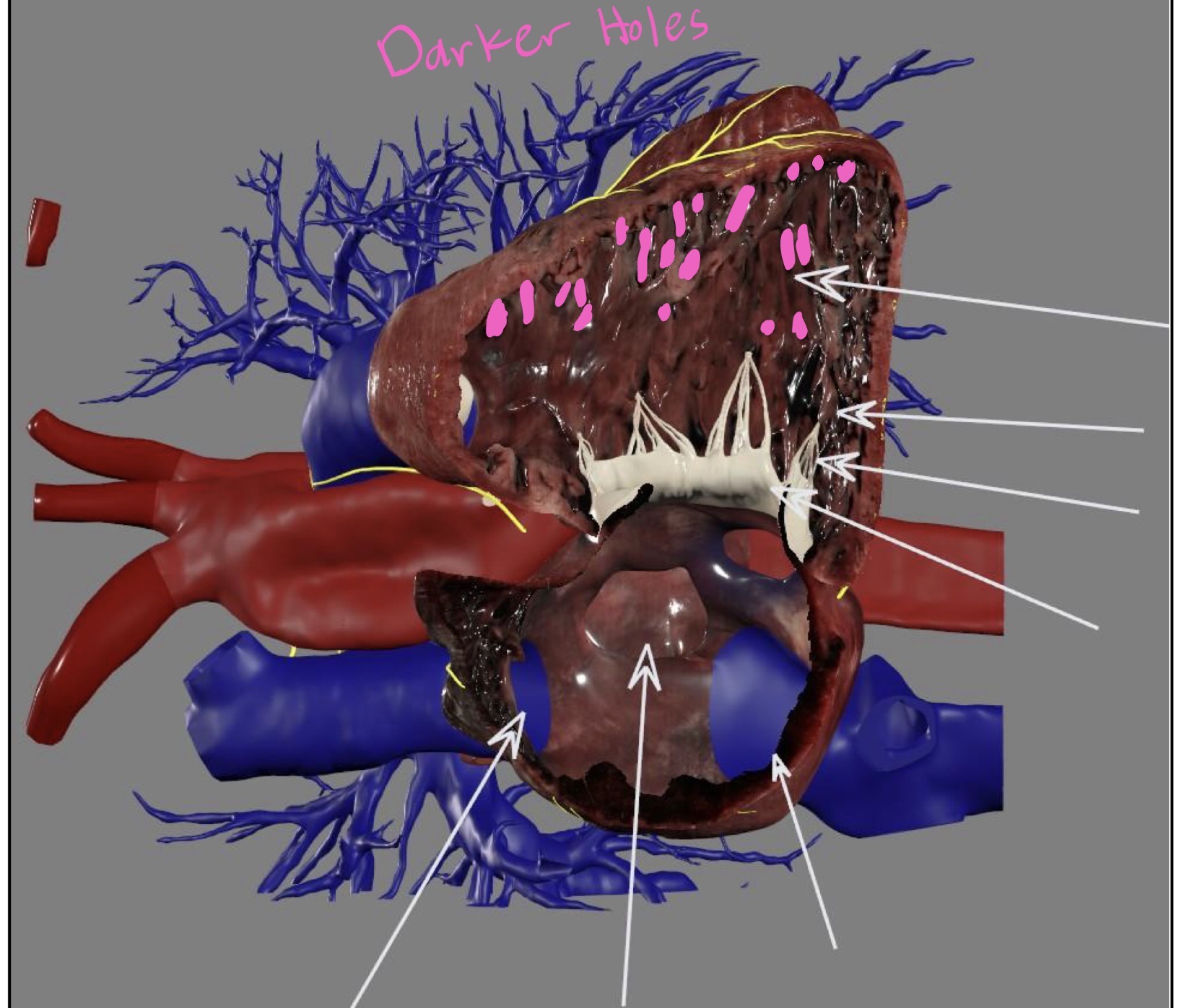 <p>What’s the highlighted area?</p>