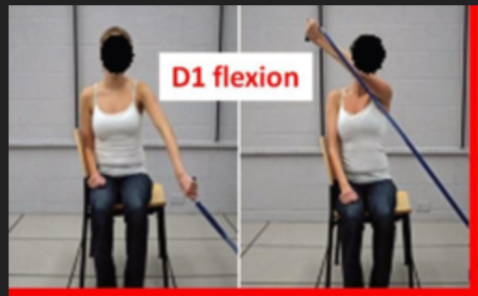 <ul><li><p>starts: arm down by your side, palm facing backward, fingers extended </p></li><li><p>action move arm diagonally up and across your body. The shoulder flexes, adducts and externally rotates. Forearm supinates, the wrist and fingers flex</p></li></ul><p></p>