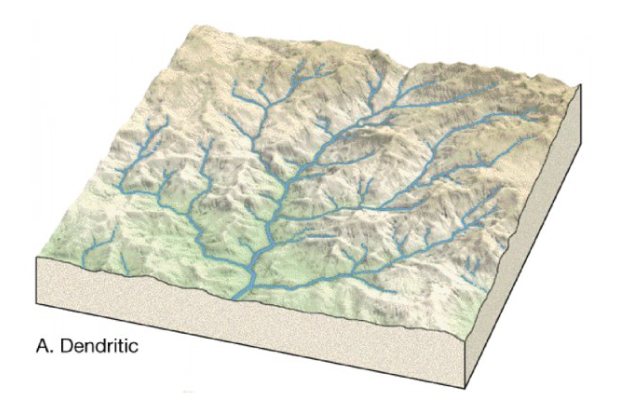 <p>A tree-like drainage pattern that forms on flat or gently sloping land with massive igneous or horizontal sedimentary rocks of similar hardness. Looks like branches of a tree.</p>