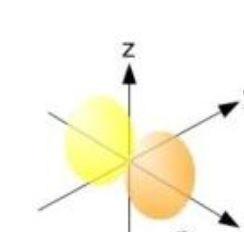 <p>What is this shape and what orbitals assume it?</p>
