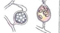 <p>what are these</p>