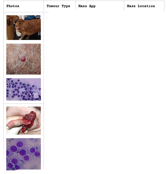 <p>Round Cell Tumours</p>