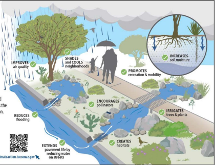 <p>Green Stormwater Infrastructure (GSI) directs stormwater runoff from streets, parking lots, and rooftops into landscaped areas where it infiltrates the soil to support vegetation.</p><p>program builds and maintains GSI on public property throughout the city that makes use of stormwater runoff as the primary irrigation resource to support native vegetation</p>